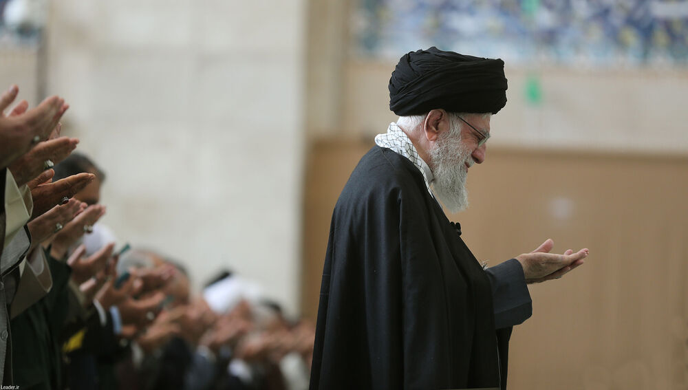 Ali Hamnei